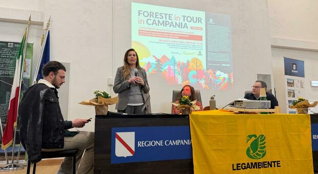 Campi Flegrei, Zabatta: «Priorità agli sfollati e sicurezza delle scuole»