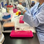 Immunoterapia e cancro, Prdx1 emerge come possibile bersaglio per riattivare i linfociti T